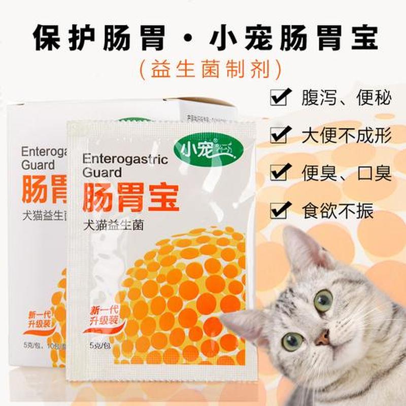 猫驱完虫喂益生菌(猫咪驱虫保健康 益生菌来助益肠胃)-第1张图片-猫咪屋