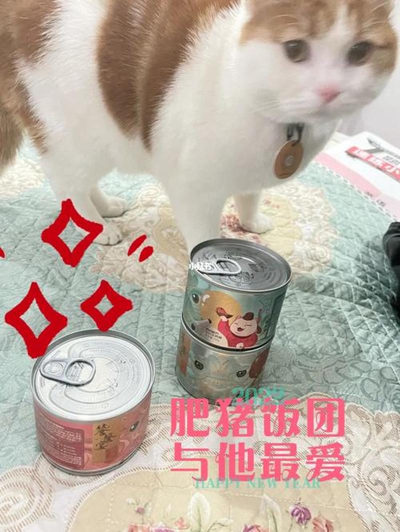 小猫怎么喂猫罐头(萌宠猫咪的罐头饕餮盛宴：新手主人喂养指南)-第1张图片-猫咪屋