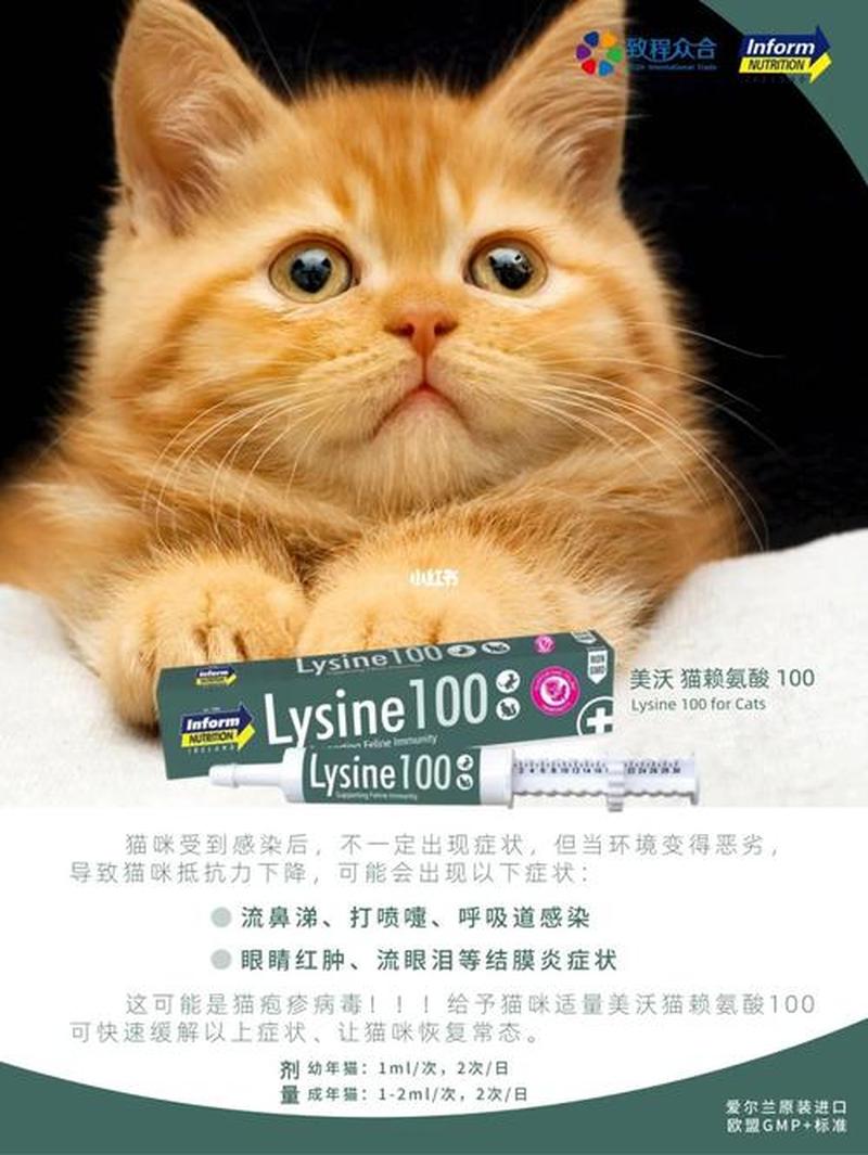 猫赖氨酸片怎么喂_赖氨酸猫吃有什么作用-第1张图片-猫咪屋