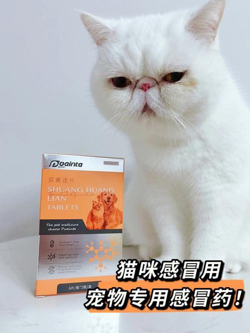 猫咪感冒想吐_猫咪感冒呕吐对症用药指南-第1张图片-猫咪屋