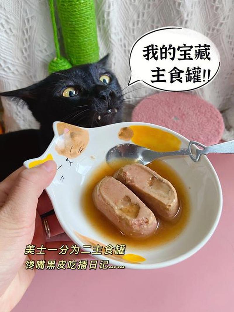 猫什么时候喂罐头更好_深夜诱惑：猫咪罐头喂食更佳时机揭秘-第1张图片-猫咪屋