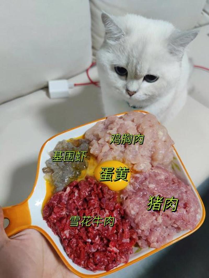 鸡胸肉拌饭喂猫要热吗—鸡胸肉做猫饭放盐吗-第1张图片-猫咪屋