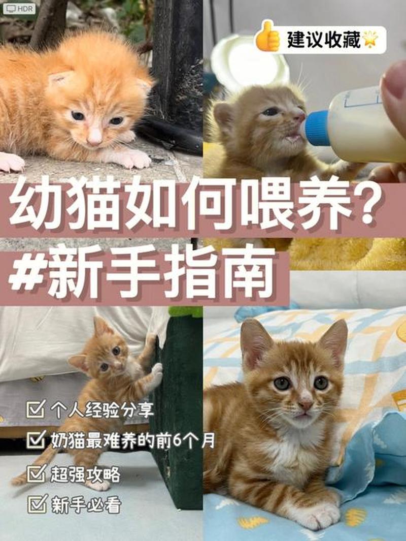 舒化奶兑水可以喂猫吗(舒化奶兑水喂猫：安全吗？营养足够吗？)-第1张图片-猫咪屋