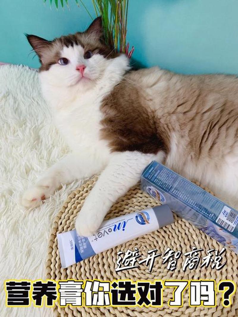 给猫喂营养膏—给爱猫补营养 秘诀全在营养膏-第1张图片-猫咪屋