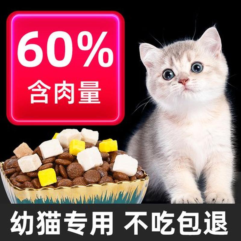 3个月的猫吃多少粒猫粮—幼猫3个月每日喂食颗粒猫粮量-第1张图片-猫咪屋