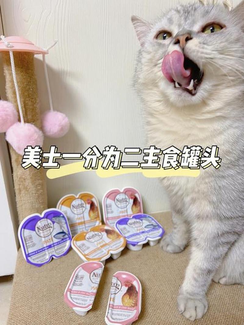 猫罐头一顿喂多少好呢—猫咪罐头喂食指南：一日摄入量解析-第1张图片-猫咪屋