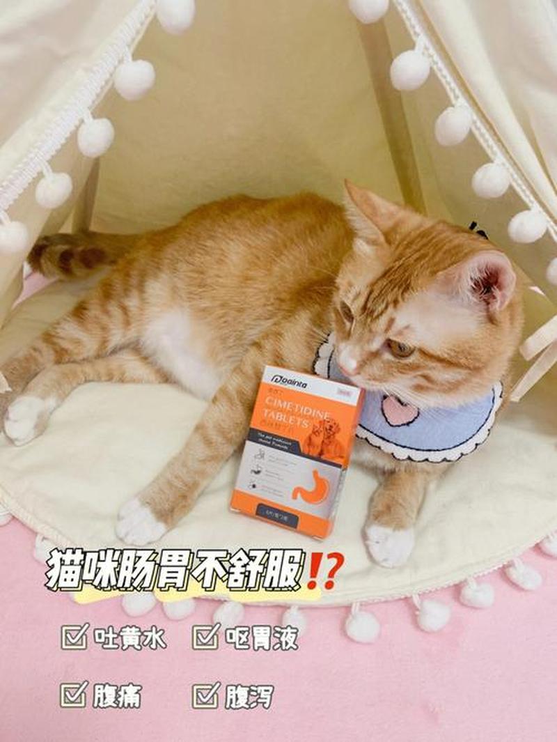 猫喂完驱虫药上吐下泻_猫误食驱虫药后的生理反应：上吐下泻-第1张图片-猫咪屋