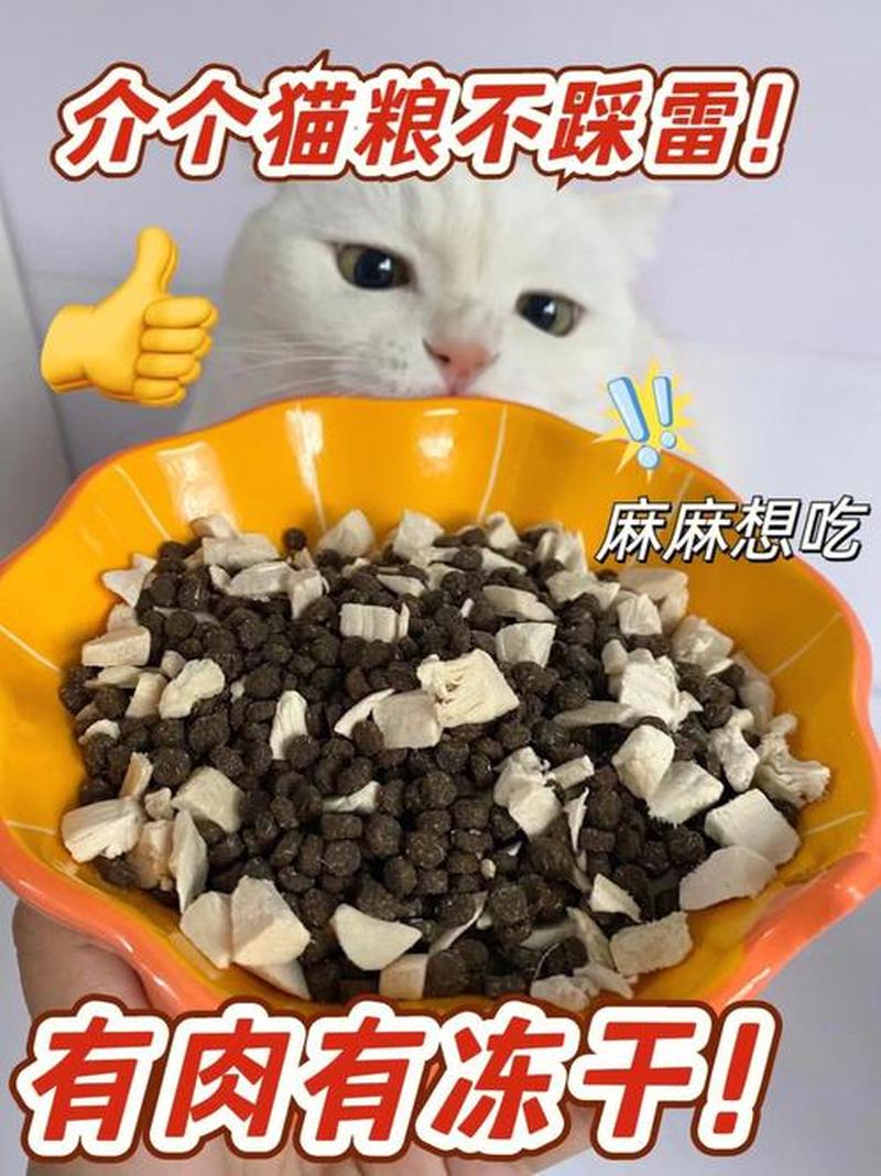猫粮混喂怎么搭配吃—打造科学猫粮混喂宝典：营养均衡，健康成长-第1张图片-猫咪屋