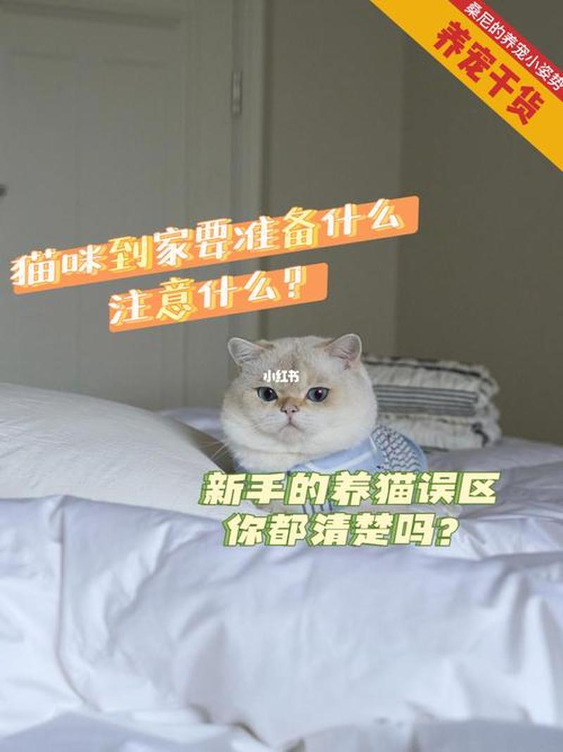 住楼房养猫怎么上厕所_在楼房养猫注意事项-第1张图片-猫咪屋