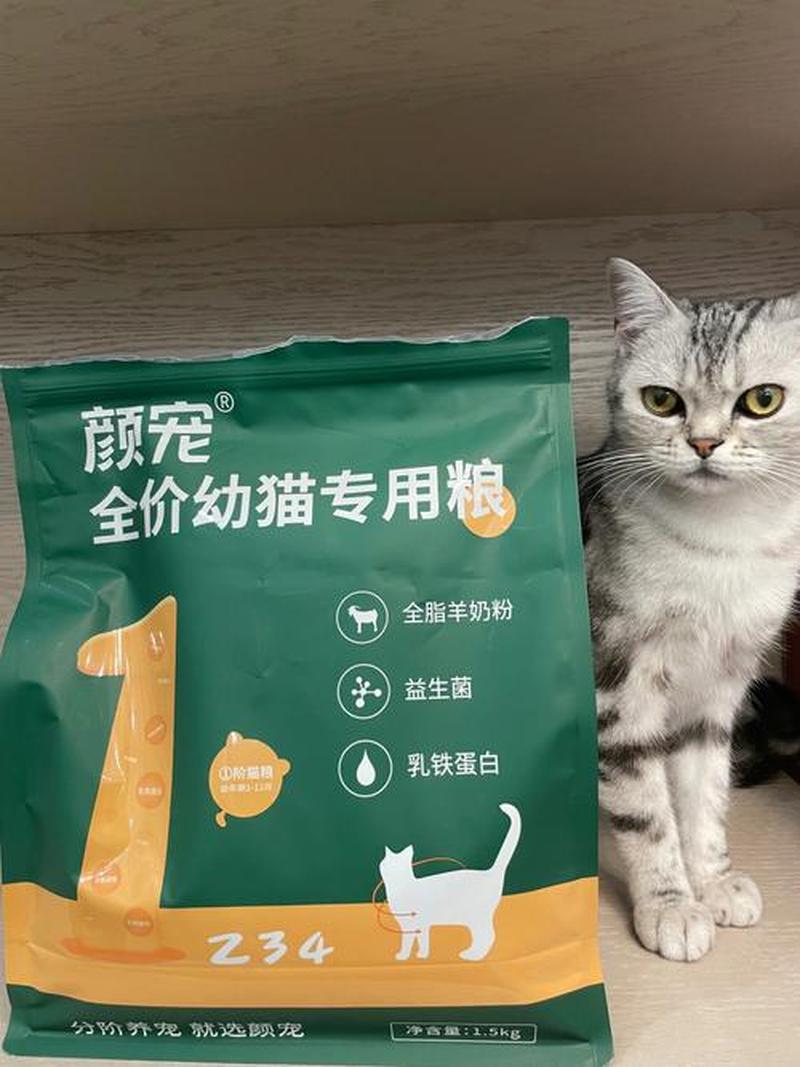 45天小猫喂多少猫粮—45日小猫每日猫粮摄入量指导-第1张图片-猫咪屋