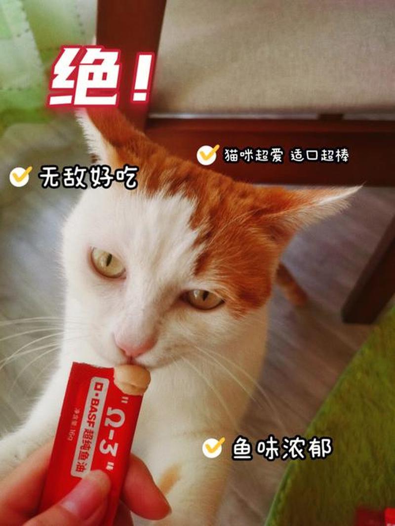 鱼怎么喂猫吃—鱼肴妙方：猫咪的鲜美盛宴-第1张图片-猫咪屋