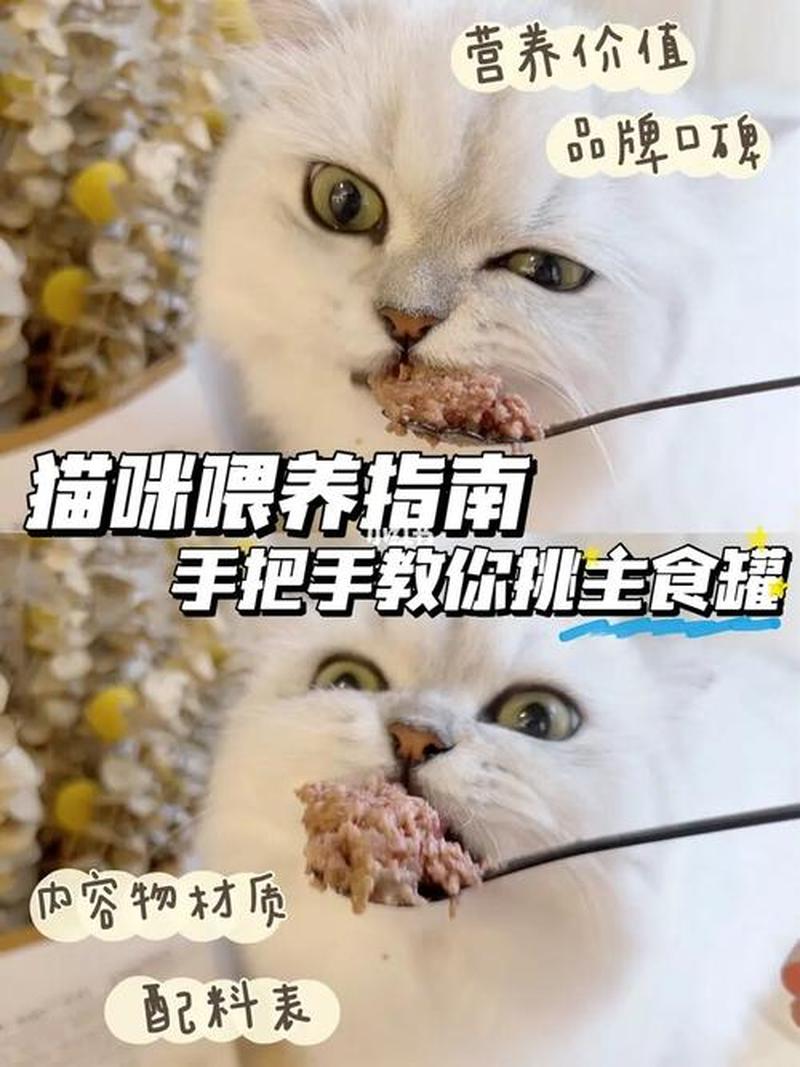 幼猫一次喂多少猫罐头合适(幼猫罐头喂食指南：正确喂量，确保健康)-第1张图片-猫咪屋