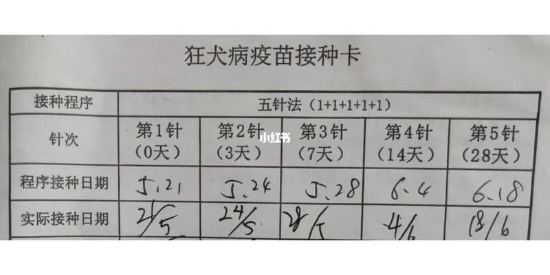 猫狂犬疫苗多少钱一针—猫狂犬疫苗接种费用探究：一针疫苗的价格-第1张图片-猫咪屋