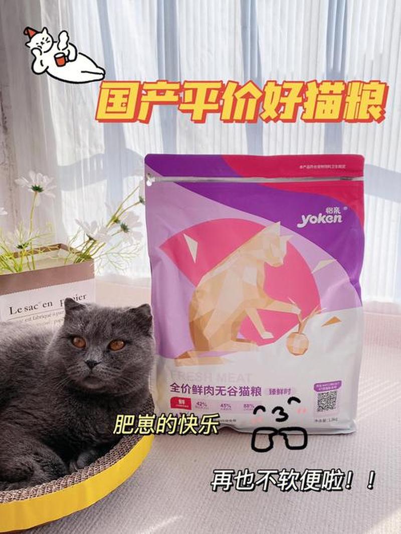 经济营养猫粮(经济实惠，猫咪营养无负担)-第1张图片-猫咪屋