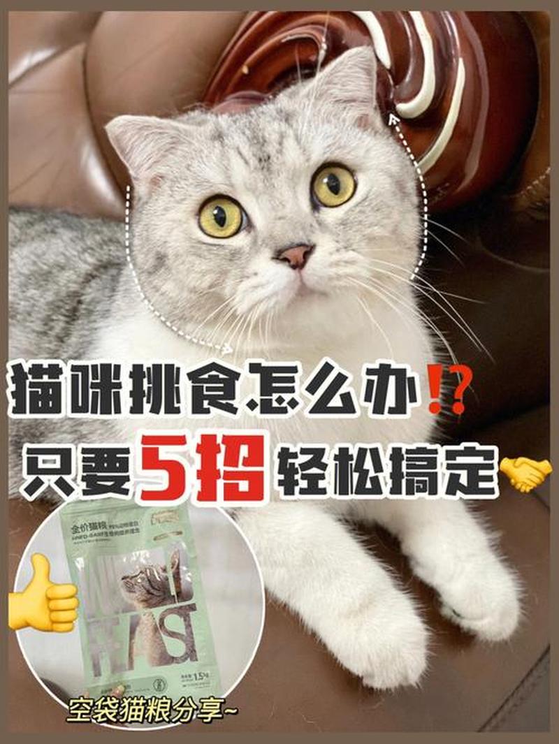 猫怎么越喂越瘦(猫怎么越吃越瘦)-第1张图片-猫咪屋