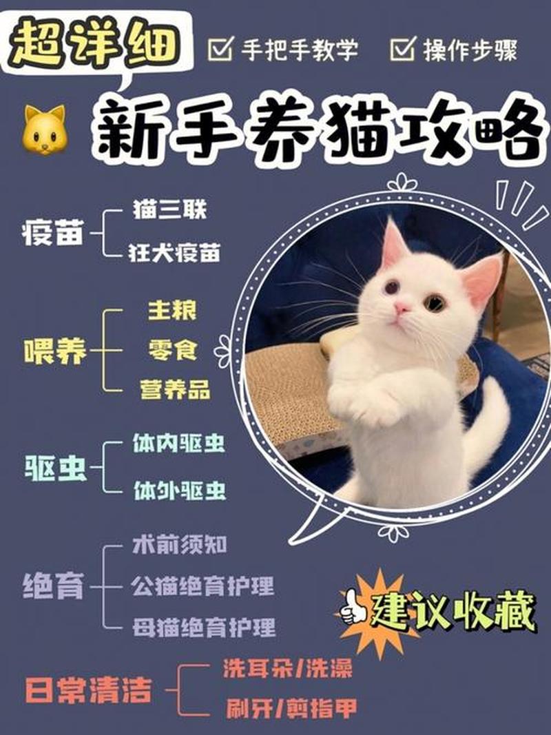 家养猫疫苗—养猫必备：猫咪疫苗全攻略，一针不落，健康成长-第1张图片-猫咪屋