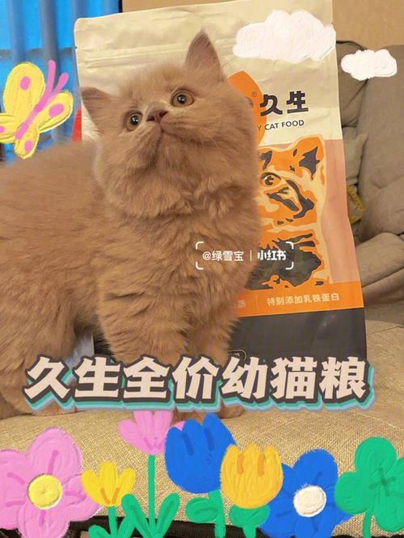 四个月的猫一天喂多少合适(4个月的猫一天吃多少ml猫粮)-第1张图片-猫咪屋