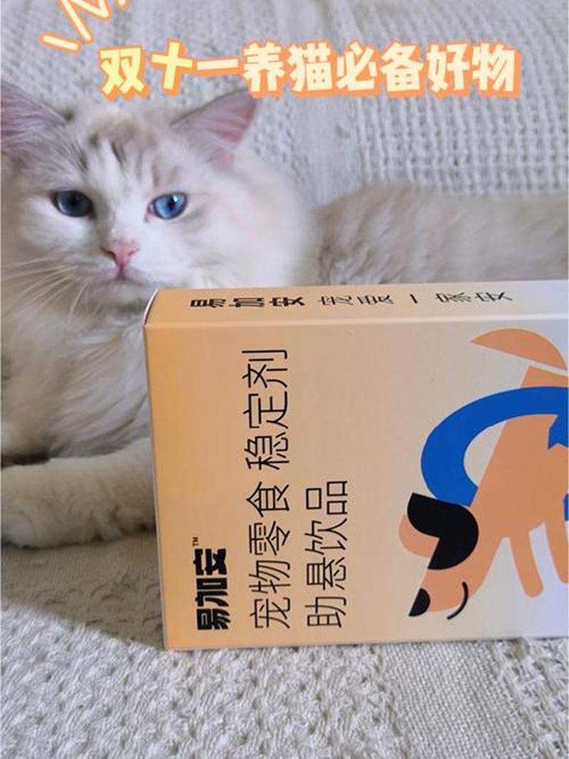 每天都要喂猫吃药(猫经常吃药会影响健康吗)-第1张图片-猫咪屋