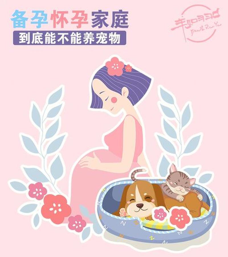 孕妇为什么不能养猫狗_孕妇养宠风险多，健康隐患不容忽视-第1张图片-猫咪屋