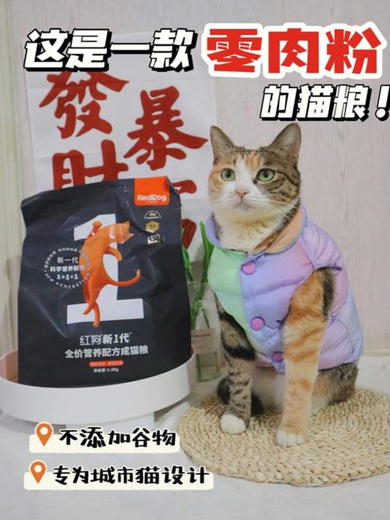 化毛膏和猫粮一起吃_呵护猫咪肠道健康：化毛膏与猫粮的科学搭配-第1张图片-猫咪屋