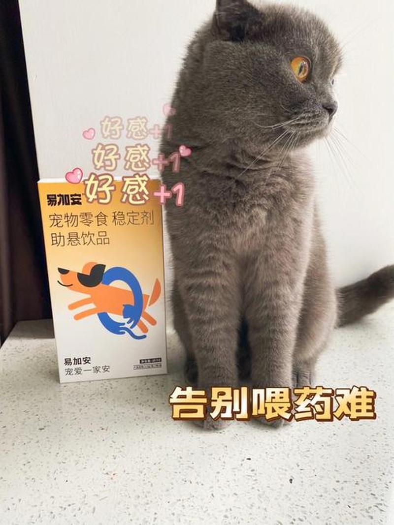 猫咳嗽喂什么药—猫咪咳嗽喂药指南：选择和用量详解-第1张图片-猫咪屋