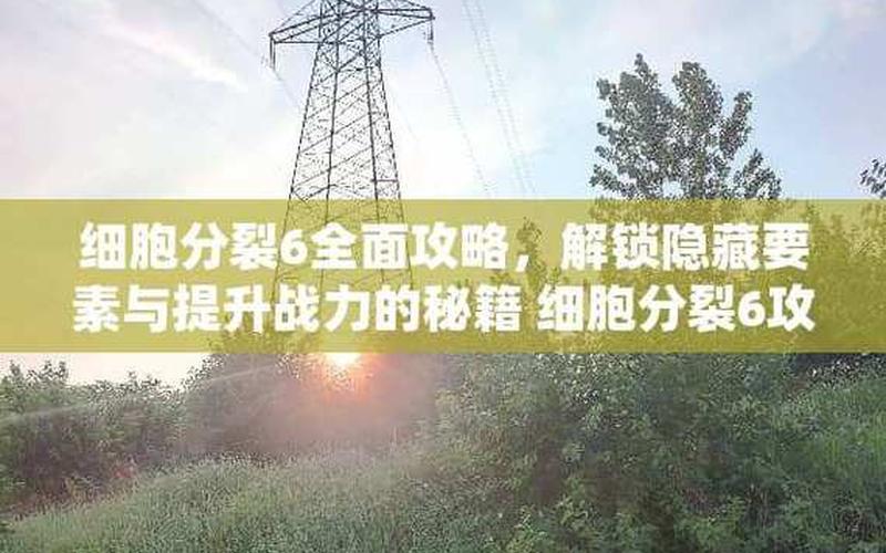 细胞分裂6-细胞分裂6设置中文教程