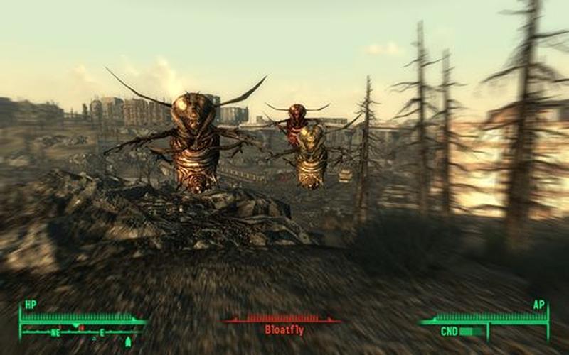  辐射33dm(辐射33dm论坛)