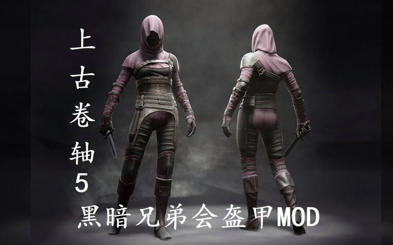  上古卷轴5黑暗兄弟会(上古卷轴5黑暗兄弟会被折磨的受害者)