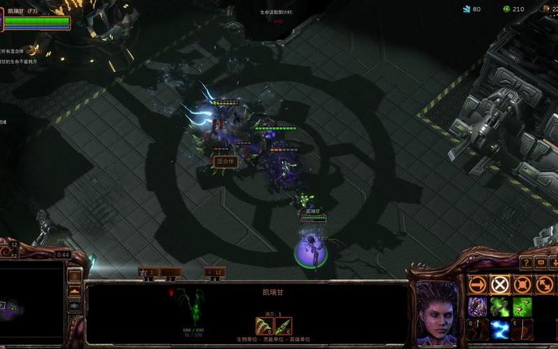  虫群之心战役(虫群之心战役顺序选择)