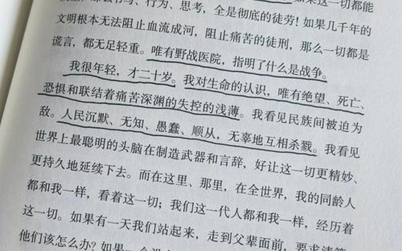  战争的真相秘籍(战争的真相秘籍怎么用)