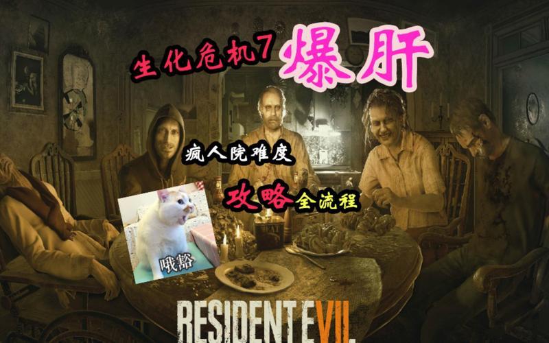  生化危机73dm(生化危机73dm攻略)