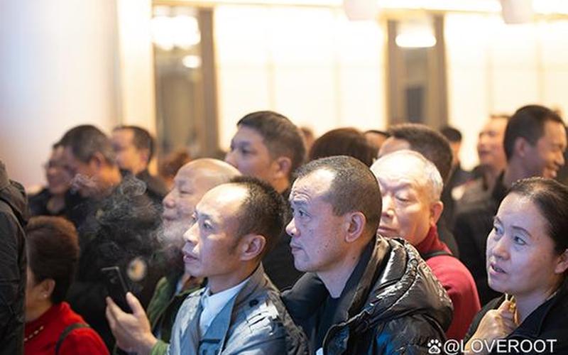  loveroot(loveroot怎么进不去)