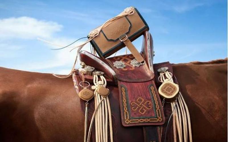  野望之三河梦幻(野望之三河梦幻txt)