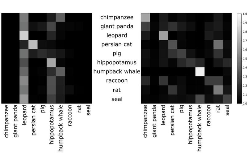  ATTRIBUTEPOINTS(attribute points翻译)