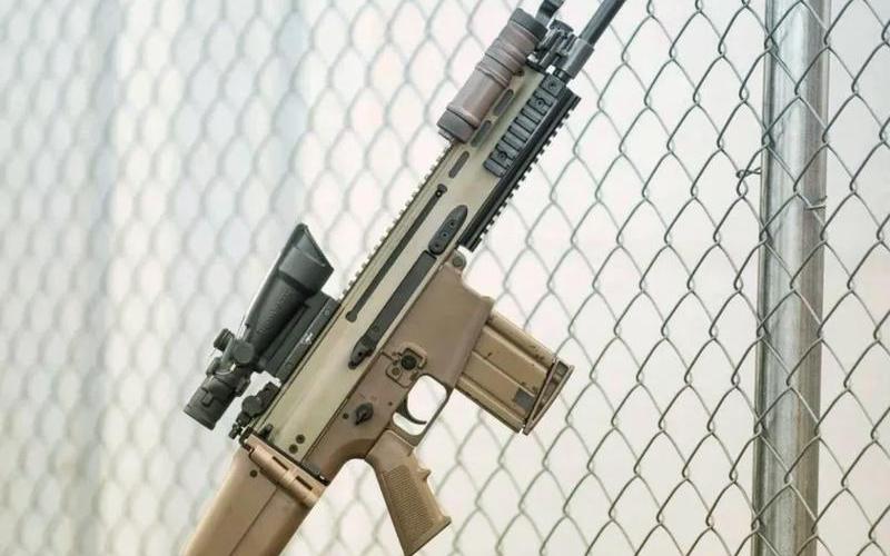  fnscar(fnscar突击)