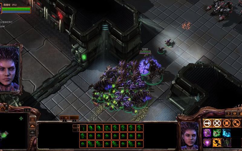  虫群之心(以撒虫群之心)