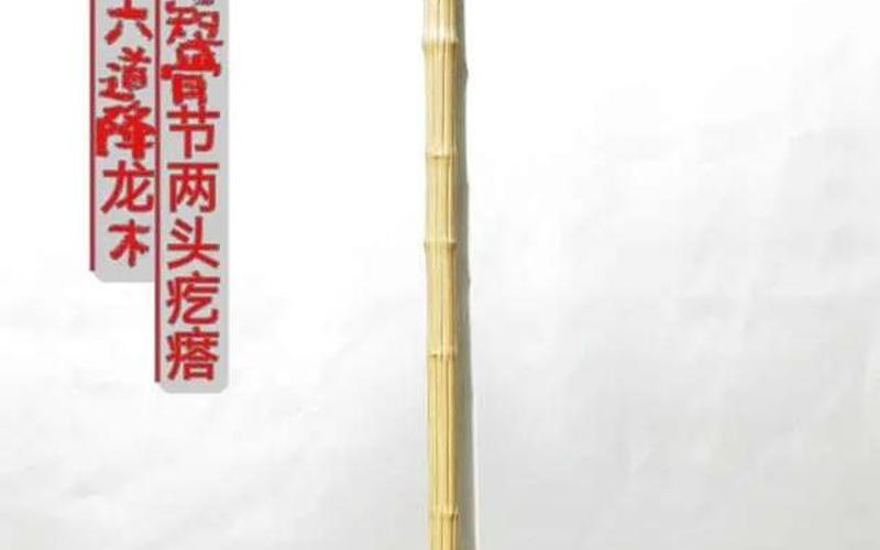  幽灵权杖(幽灵权杖 一碗虎骨酒)