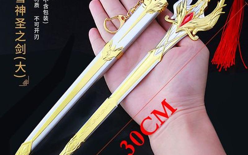  神圣之剑(神圣之剑图片)