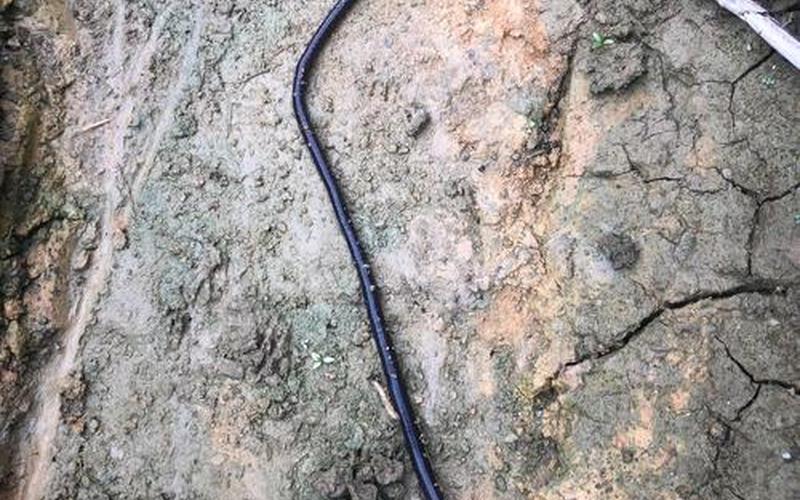  地龙配招(地龙配招式)