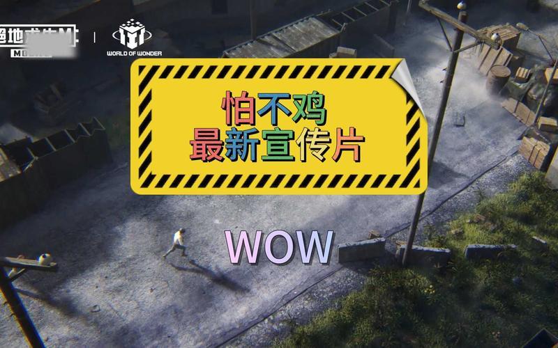  鹰击长空攻略(鹰击长空 攻略)