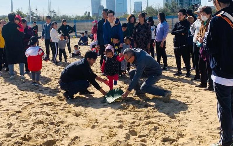  海滨嘉年华秘籍(海滨嘉年华秘籍攻略)