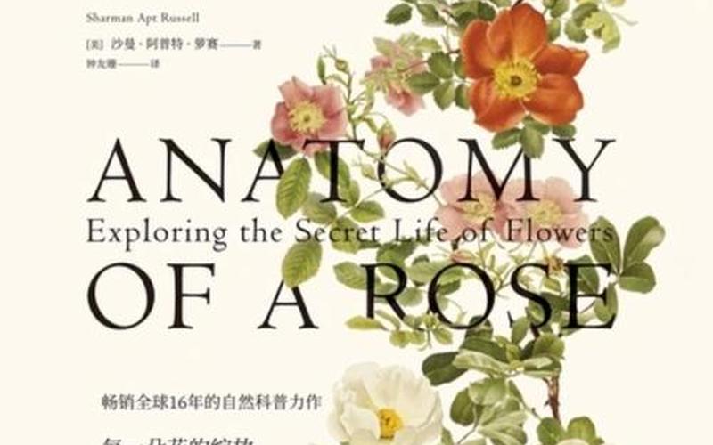  恶龙之灾(恶龙之灾中文破解版)