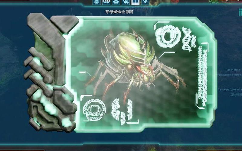  育母蜘蛛出装(育母蜘蛛出装顺序)