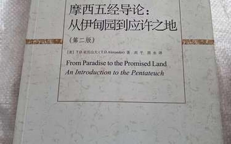  应许之地攻略(应许之地攻略秘籍)