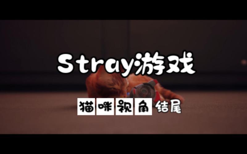 stray_stray游戏中文版免费