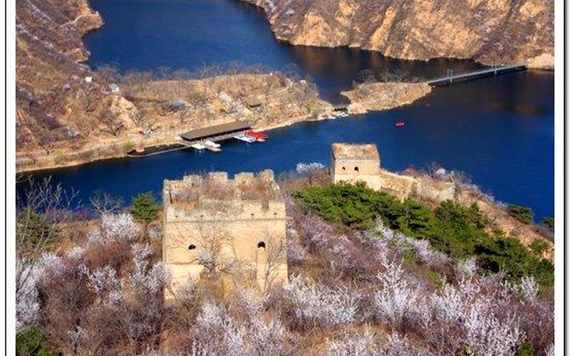  拯救安伦觅影者(拯救安伦觅影者在线观看)