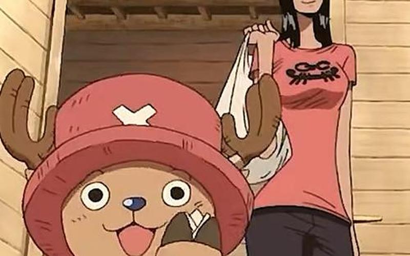  罗宾乔巴格闘王国(格闘王国乔巴和罗宾的叫什么)