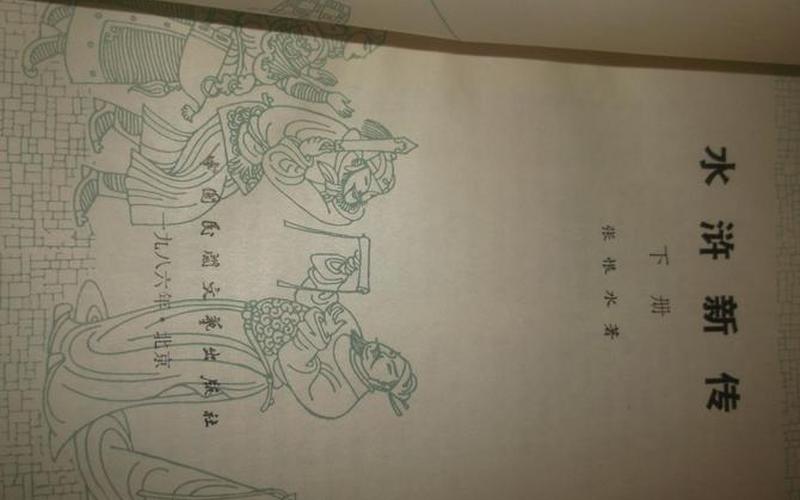  水浒新传之天地之风(水浒新传之天地之风演员表)