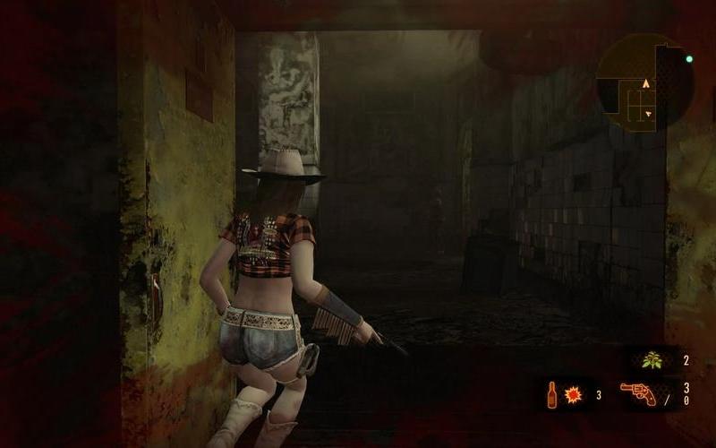  生化危机启示录攻略(生化危机启示录攻略2)