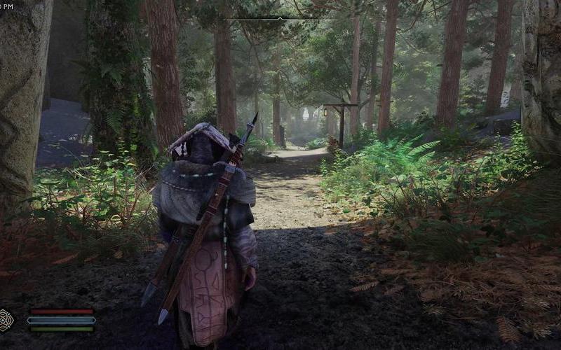  上古卷轴5(上古卷轴5爱的大冒险)